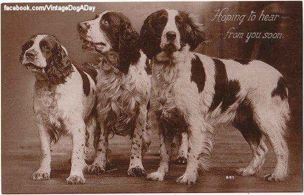 194947-0569d-83949332-m750x740-ud29e0.jp