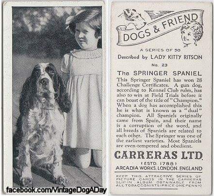 194947-0bd79-83949340-m750x740-u66a99.jp