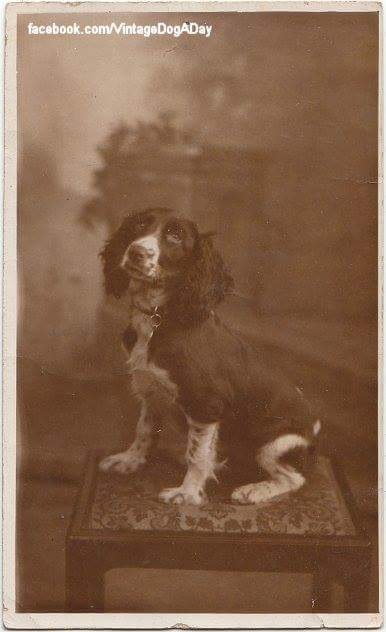 194947-2288d-83949339-m750x740-u0302c.jp