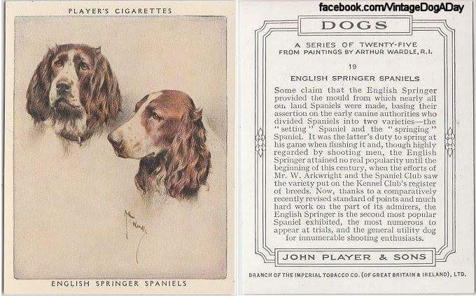 194947-32187-83949337-m750x740-uebe97.jp