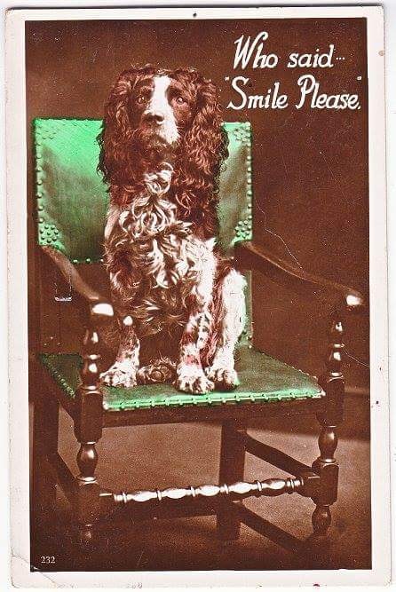 194947-486eb-83949341-m750x740-u1d1aa.jp