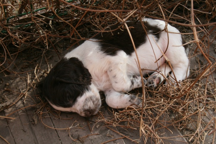 194947-85c94-55046644-m750x740-u6bc26.jp