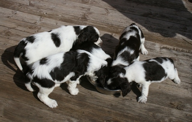 194947-903a8-55046617-m750x740-ua861d.jp