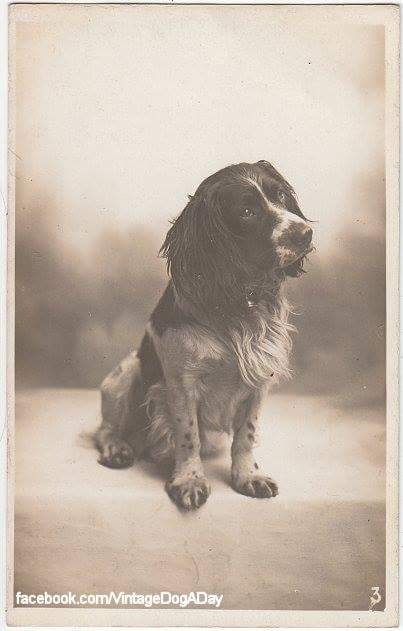 194947-968dc-83949334-m750x740-u6b863.jp