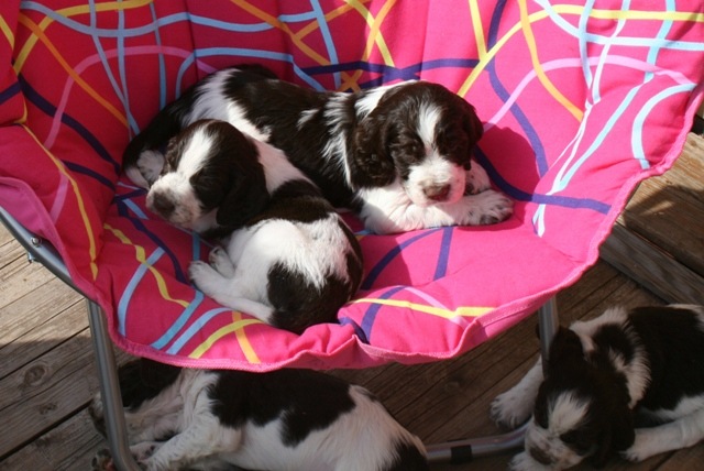 194947-eba15-55046623-m750x740-u7cf8b.jp