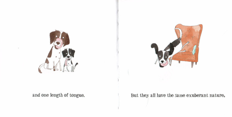 194947-7932e-121582906-m750x740-u60fb7.j