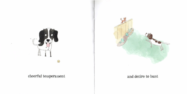 194947-bbb0f-121582907-m750x740-uf8286.j