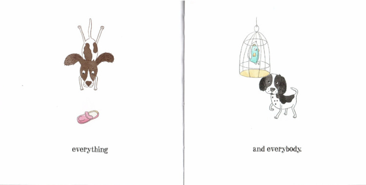 194947-d0631-121582912-m750x740-ubb42b.j